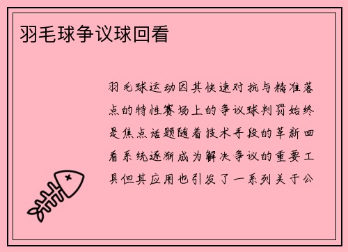羽毛球争议球回看
