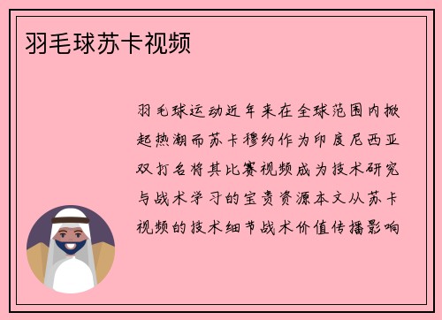 羽毛球苏卡视频